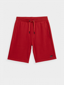 Шорты 4F модель 4FSS23TSHOM156-62S Фото