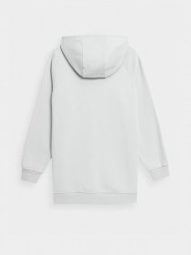 Худи 4F Sports Harmony модель 4FSS23TSWSF247-27S Фото