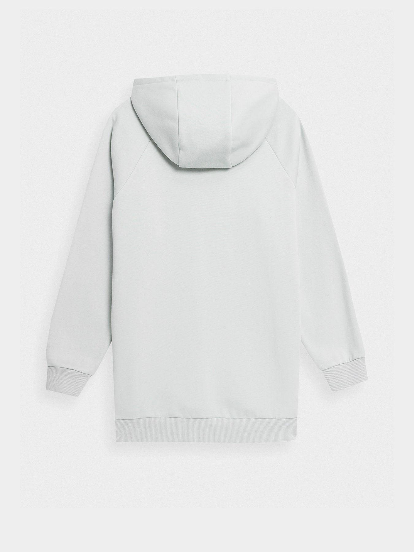 Худі 4F Sports Harmony модель 4FSS23TSWSF247-27S Фото