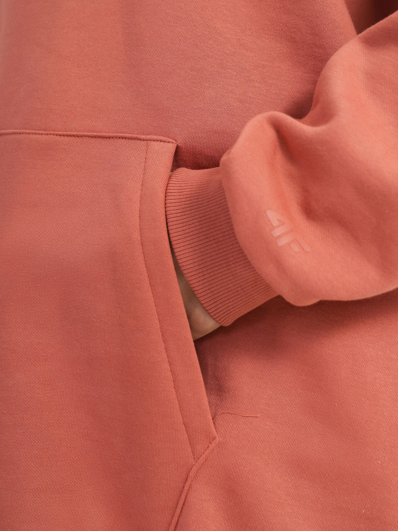 Худи 4F Sports Harmony модель 4FSS23TSWSF247-64S Фото