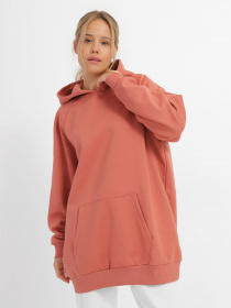 Худи 4F Sports Harmony модель 4FSS23TSWSF247-64S Фото