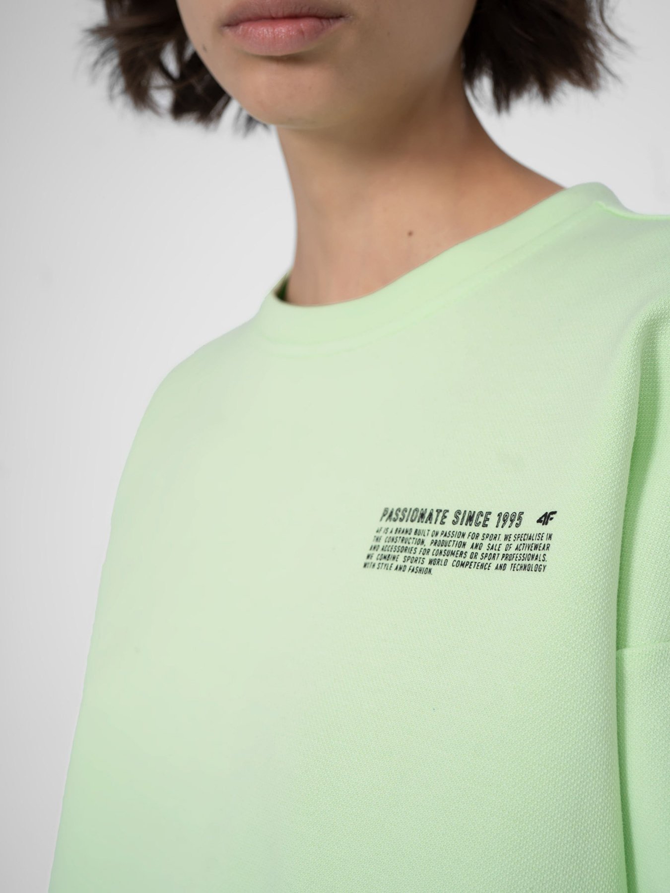 Свитшот 4F Sweatshirt F254 модель 4FSS23TSWSF254-42S Фото