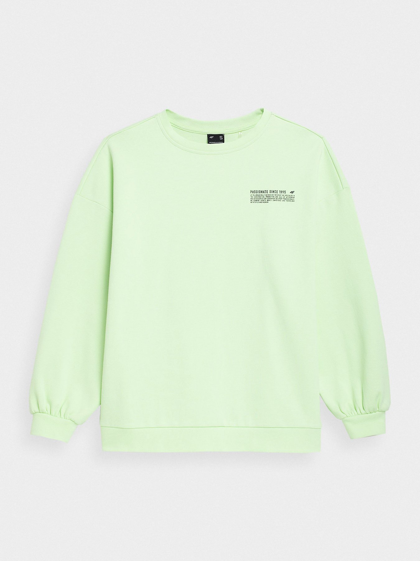 Свитшот 4F Sweatshirt F254 модель 4FSS23TSWSF254-42S Фото