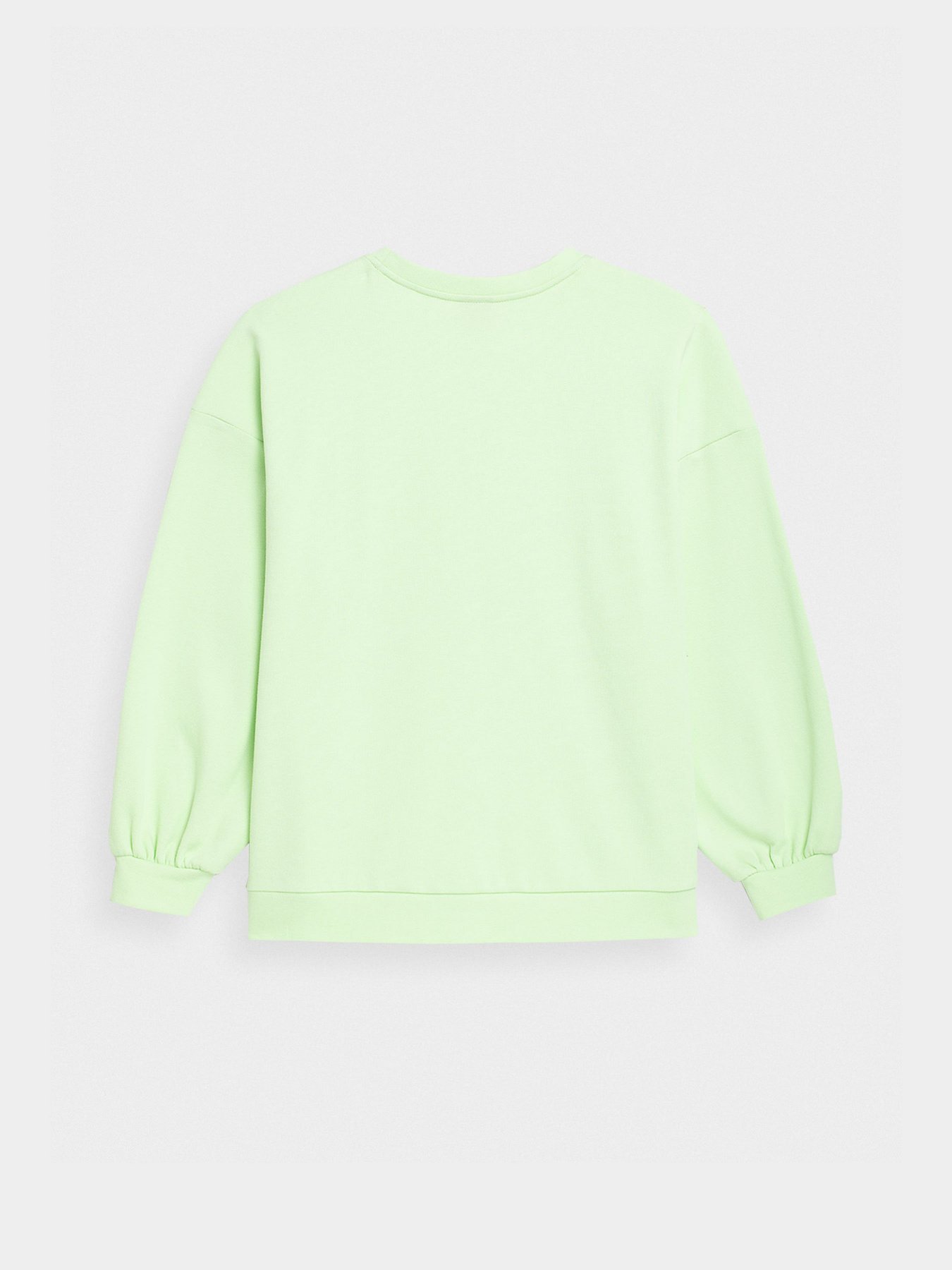 Світшот 4F Sweatshirt F254 модель 4FSS23TSWSF254-42S Фото