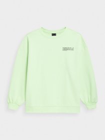 Світшот 4F Sweatshirt F254 модель 4FSS23TSWSF254-42S Фото