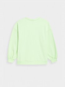 Світшот 4F Sweatshirt F254 модель 4FSS23TSWSF254-42S Фото