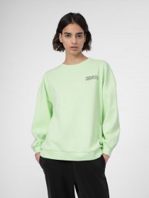 Світшот 4F Sweatshirt F254 модель 4FSS23TSWSF254-42S Фото