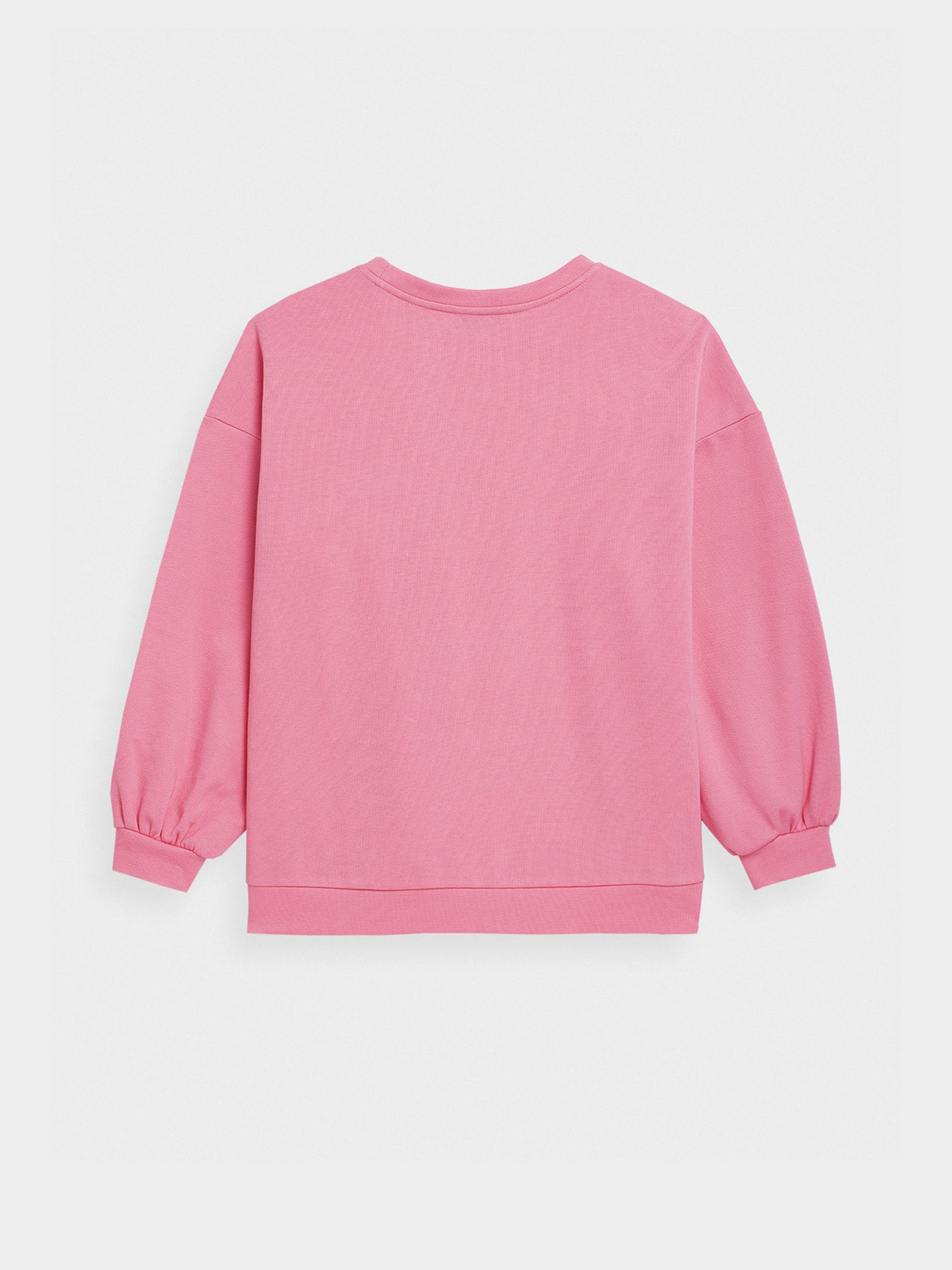 Свитшот 4F Sweatshirt F254 модель 4FSS23TSWSF254-54S Фото