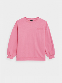 Свитшот 4F Sweatshirt F254 модель 4FSS23TSWSF254-54S Фото