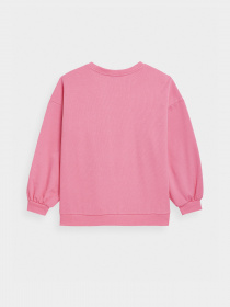 Свитшот 4F Sweatshirt F254 модель 4FSS23TSWSF254-54S Фото