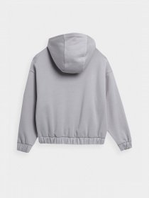 Худи 4F Energetic Code модель 4FSS23TSWSF255-25S Фото