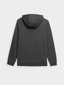 Кофта 4F NOS модель 4FSS23TSWSM354-23M Фото