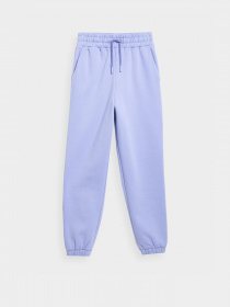 Штаны спортивные 4F City Play модель 4FSS23TTROF148-52S Фото