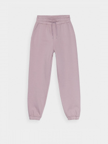 Штаны спортивные 4F City Play модель 4FSS23TTROF148-83S Штаны спортивные 4F City Play модель 4FSS23TTROF148-83S Фото