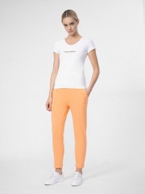 Штаны спортивные 4F Dynamic Balance модель 4FSS23TTROF149-70S Фото