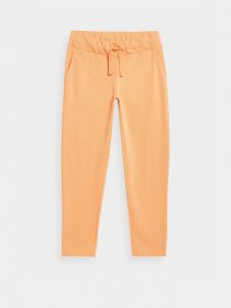 Штаны спортивные 4F Dynamic Balance модель 4FSS23TTROF149-70S Фото