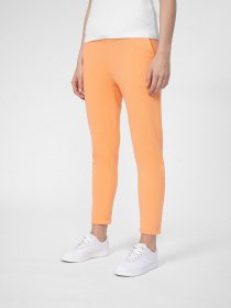 Штани спортивні 4F Dynamic Balance Модель 4FSS23TTROF149-70S Фото