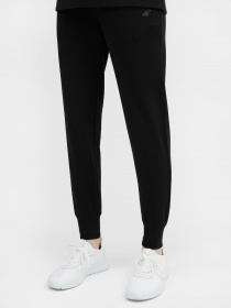 Спортивні штани 4F NOS модель 4FSS23TTROF229-20S Фото