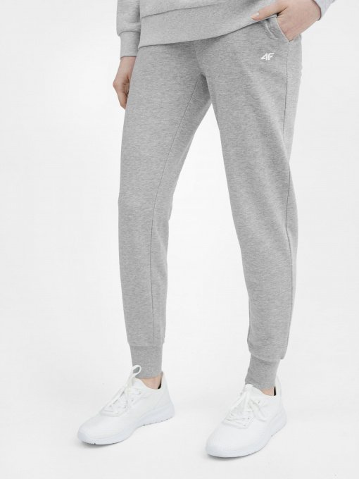 Штаны спортивные 4F NOS модель 4FSS23TTROF229-27M Фото