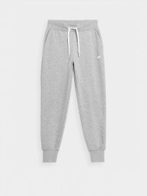 Спортивні штани 4F NOS модель 4FSS23TTROF229-27M Фото