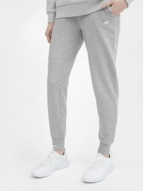 Спортивні штани 4F NOS модель 4FSS23TTROF229-27M Фото