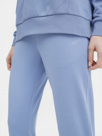 Штаны спортивные 4F NOS модель 4FSS23TTROF229-32S Фото