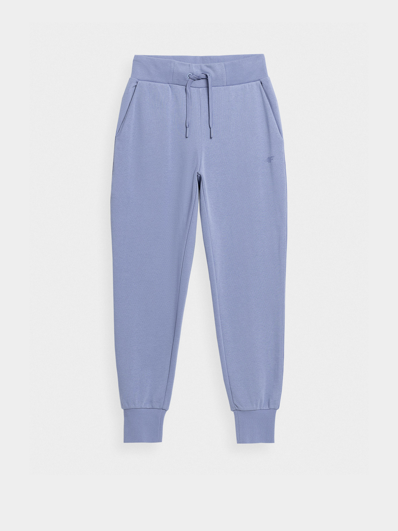 Штаны спортивные 4F NOS модель 4FSS23TTROF229-32S Фото