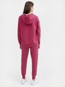 Штани спортивні 4F NOS Модель 4FSS23TTROF229-53S Фото