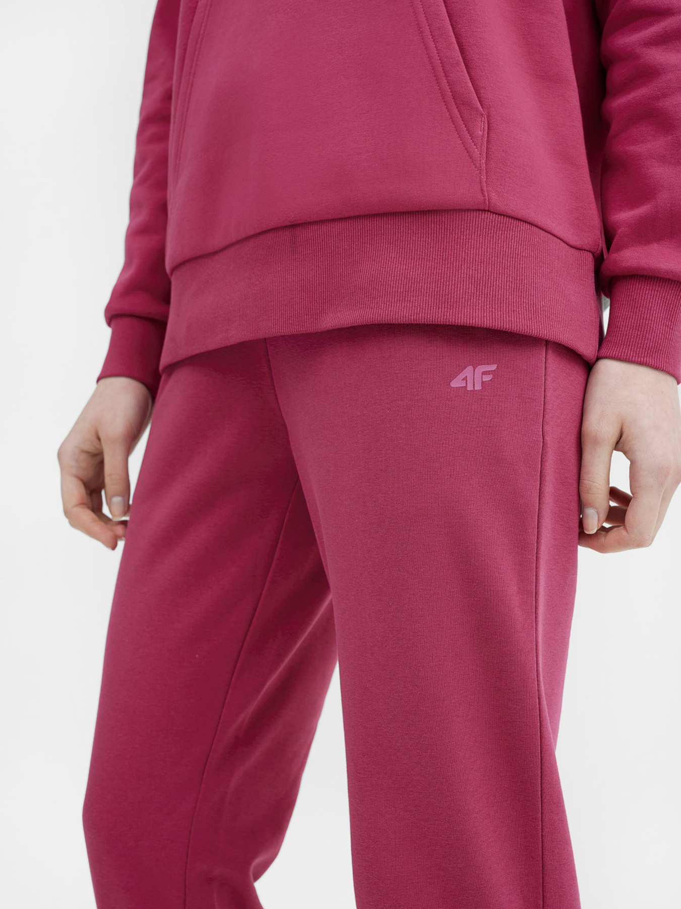 Спортивні штани 4F NOS модель 4FSS23TTROF229-53S Фото