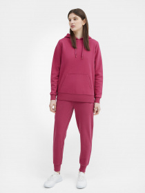 Спортивні штани 4F NOS модель 4FSS23TTROF229-53S Фото