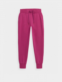 Спортивні штани 4F NOS модель 4FSS23TTROF229-53S Фото