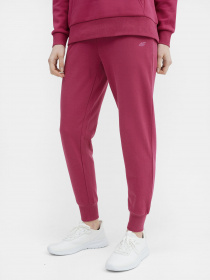 Штаны спортивные 4F NOS модель 4FSS23TTROF229-53S Фото