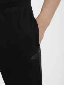 Штаны спортивные 4F NOS модель 4FSS23TTROM223-20S Фото