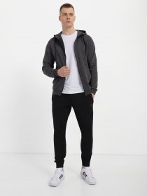 Спортивні штани 4F NOS модель 4FSS23TTROM223-20S Фото