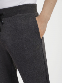 Штани спортивні 4F NOS модель 4FSS23TTROM223-23M Фото