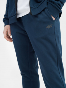 Спортивні штани 4F NOS модель 4FSS23TTROM223-30S Фото
