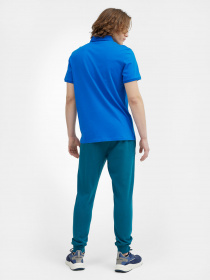 Штаны спортивные 4F NOS модель 4FSS23TTROM223-32S Фото