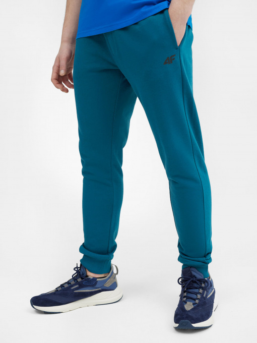 Штани спортивні 4F NOS модель 4FSS23TTROM223-32S Фото