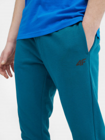 Спортивні штани 4F NOS модель 4FSS23TTROM223-32S Фото