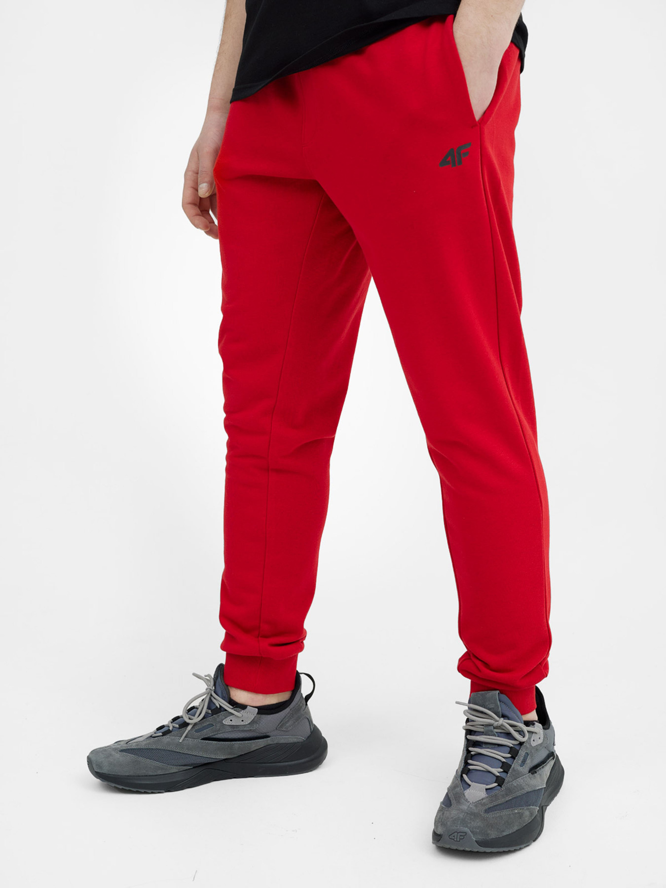 Штаны спортивные 4F NOS модель 4FSS23TTROM223-62S Фото