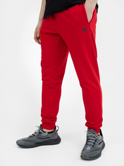 Штаны спортивные 4F NOS модель 4FSS23TTROM223-62S Фото