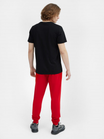 Спортивні штани 4F NOS модель 4FSS23TTROM223-62S Фото