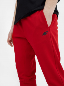 Спортивні штани 4F NOS модель 4FSS23TTROM223-62S Фото