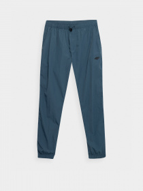 Штаны спортивные 4F Highest Estate модель 4FSS23TTROM295-32S Фото