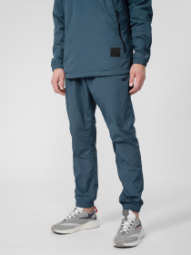 Штаны спортивные 4F Highest Estate модель 4FSS23TTROM295-32S Фото