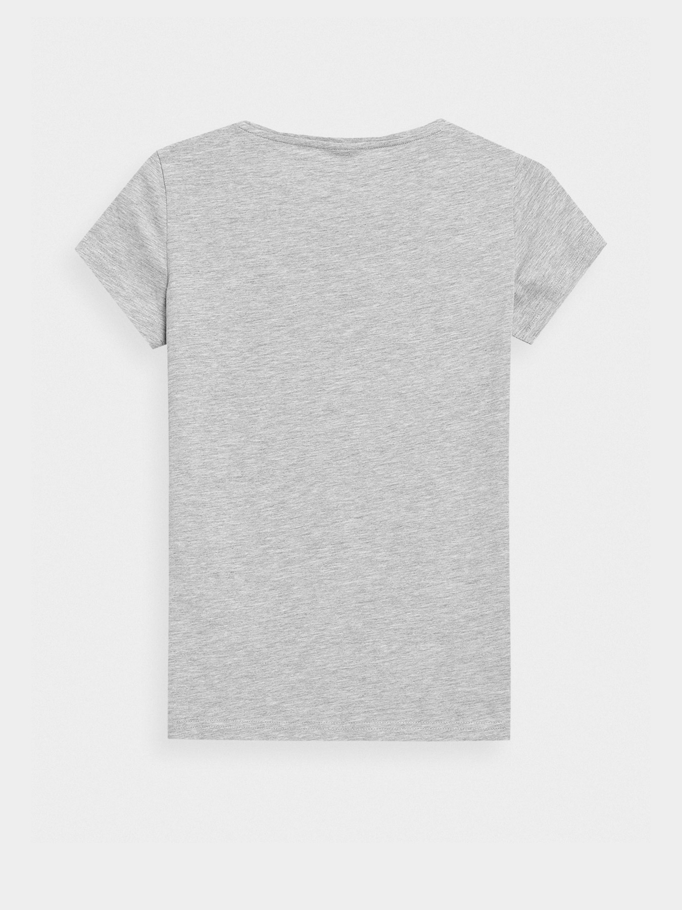 Футболка 4F NOS модель 4FSS23TTSHF580-27M Фото