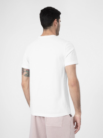 Футболка 4F Modern Explorer модель 4FSS23TTSHM297-10S Фото