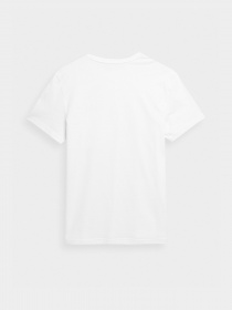 Футболка 4F Modern Explorer модель 4FSS23TTSHM297-10S Фото