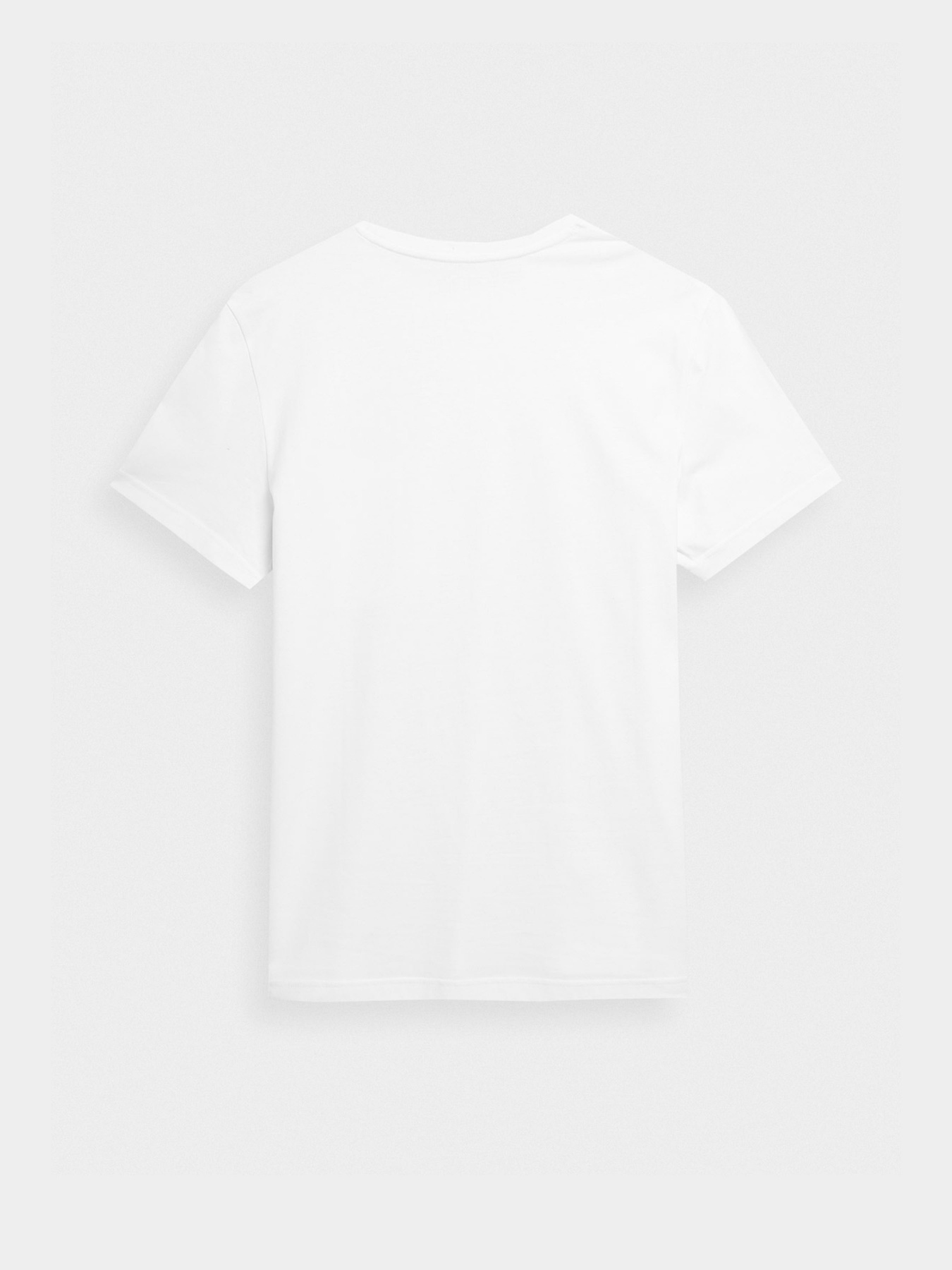 Футболка 4F Modern Explorer модель 4FSS23TTSHM297-10S Фото