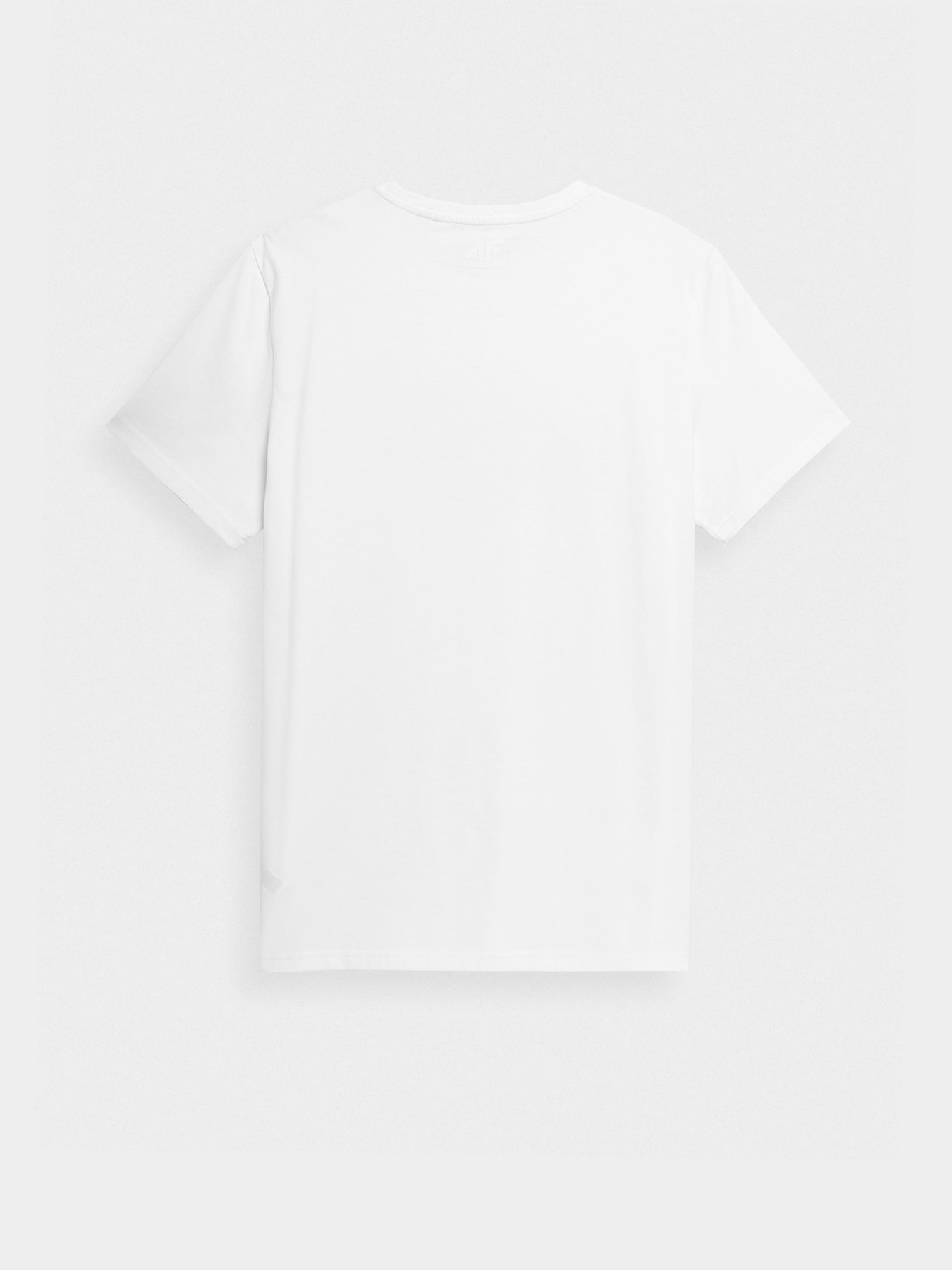 Футболка 4F модель 4FSS23TTSHM309-10S Фото